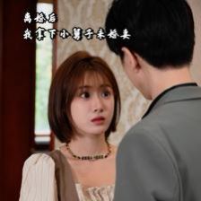 离婚后我拿下小舅子未婚妻 第1-20集