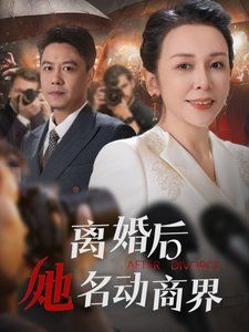 离婚后她名动商界(中年离婚后她名动商界) 1-30集完结(大结局)