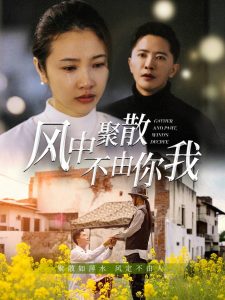 风中聚散不由你我 全集(大结局)